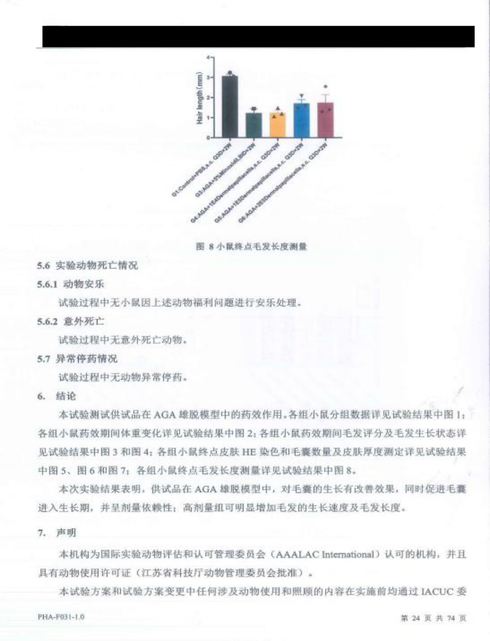 动物实验报告结论页，包含小鼠终点毛发长度测量及试验结论